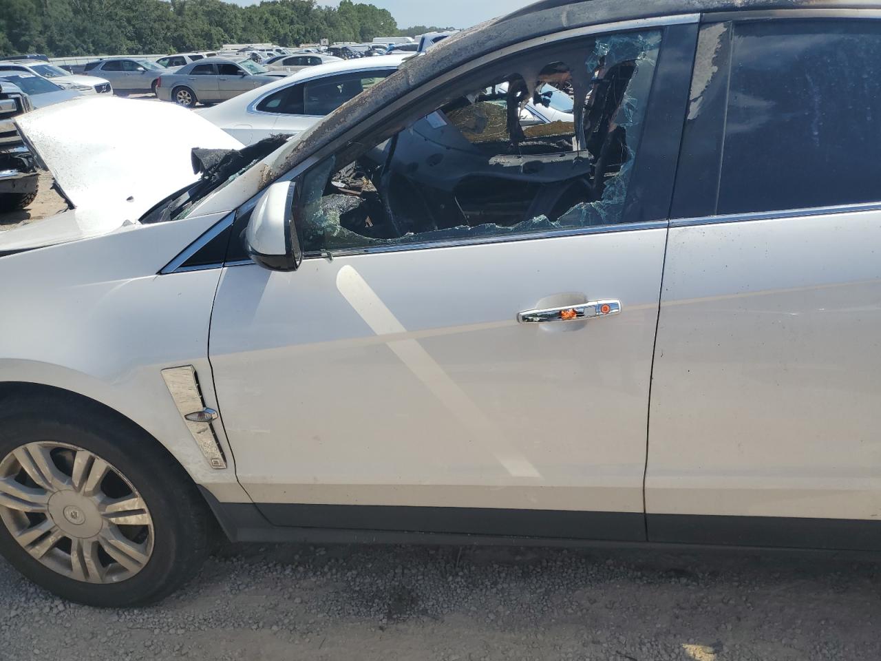 2012 Cadillac Srx Luxury Collection VIN: 3GYFNAE35CS556638 Lot: 69659305