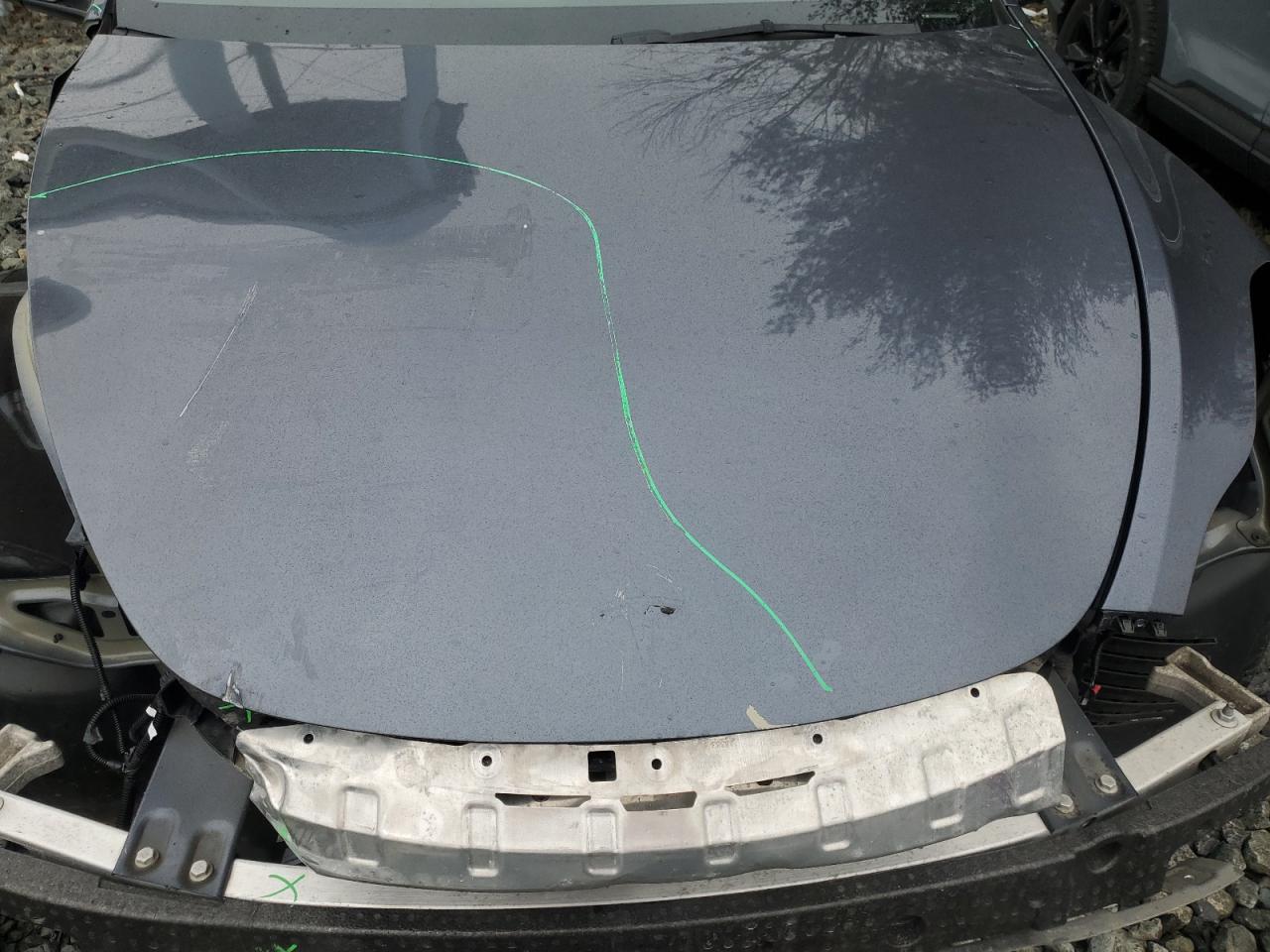 2023 Tesla Model Y VIN: 7SAYGDEE3PA205463 Lot: 69103615