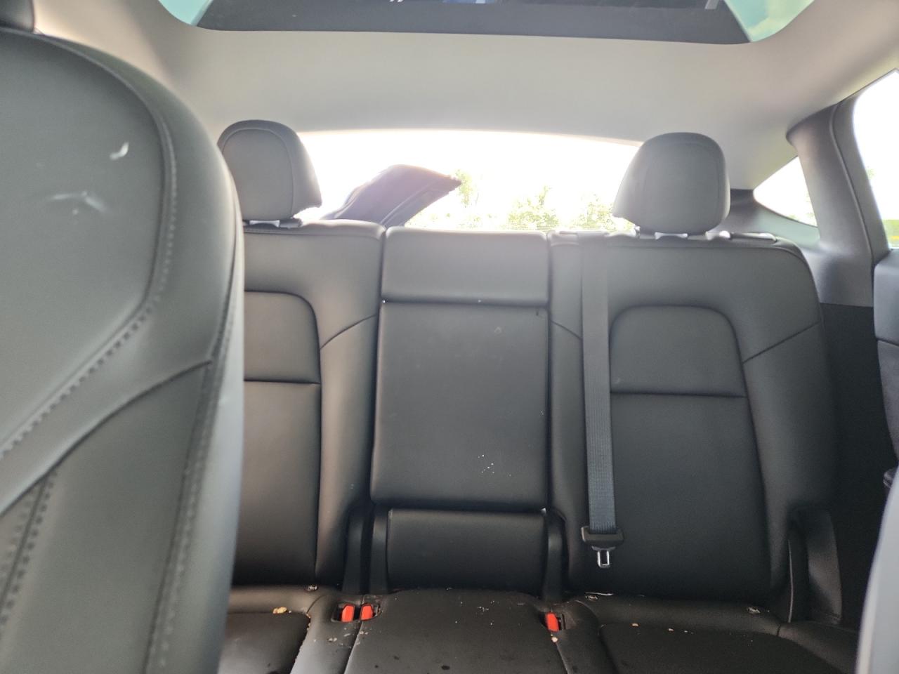 2024 Tesla Model Y VIN: 7SAYGDEE5RA217973 Lot: 66594085