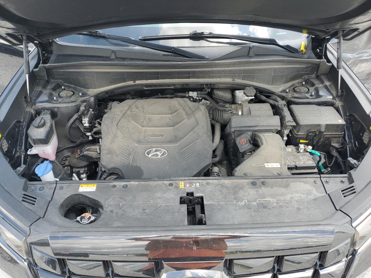 2024 Hyundai Palisade Calligraphy VIN: KM8R7DGE9RU720121 Lot: 67393855