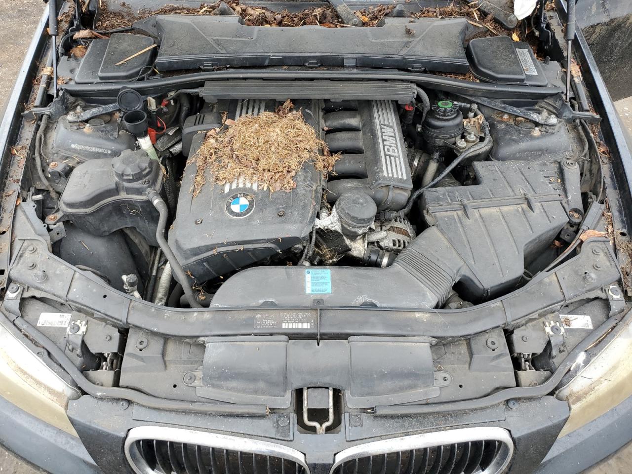 2011 BMW 328 I VIN: WBAPH7G58BNM55005 Lot: 68631985