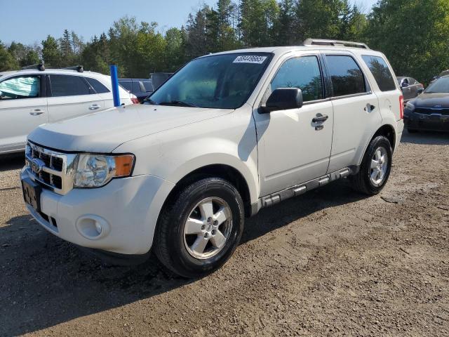 2010 FORD ESCAPE XLT   for sale at Copart ON - COOKSTOWN