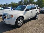 2010 FORD ESCAPE XLT   for sale at Copart ON - COOKSTOWN