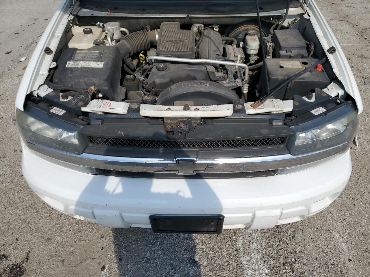 2004 Chevrolet Trailblazer Ls VIN: 1GNDT13S742384033 Lot: 68139635