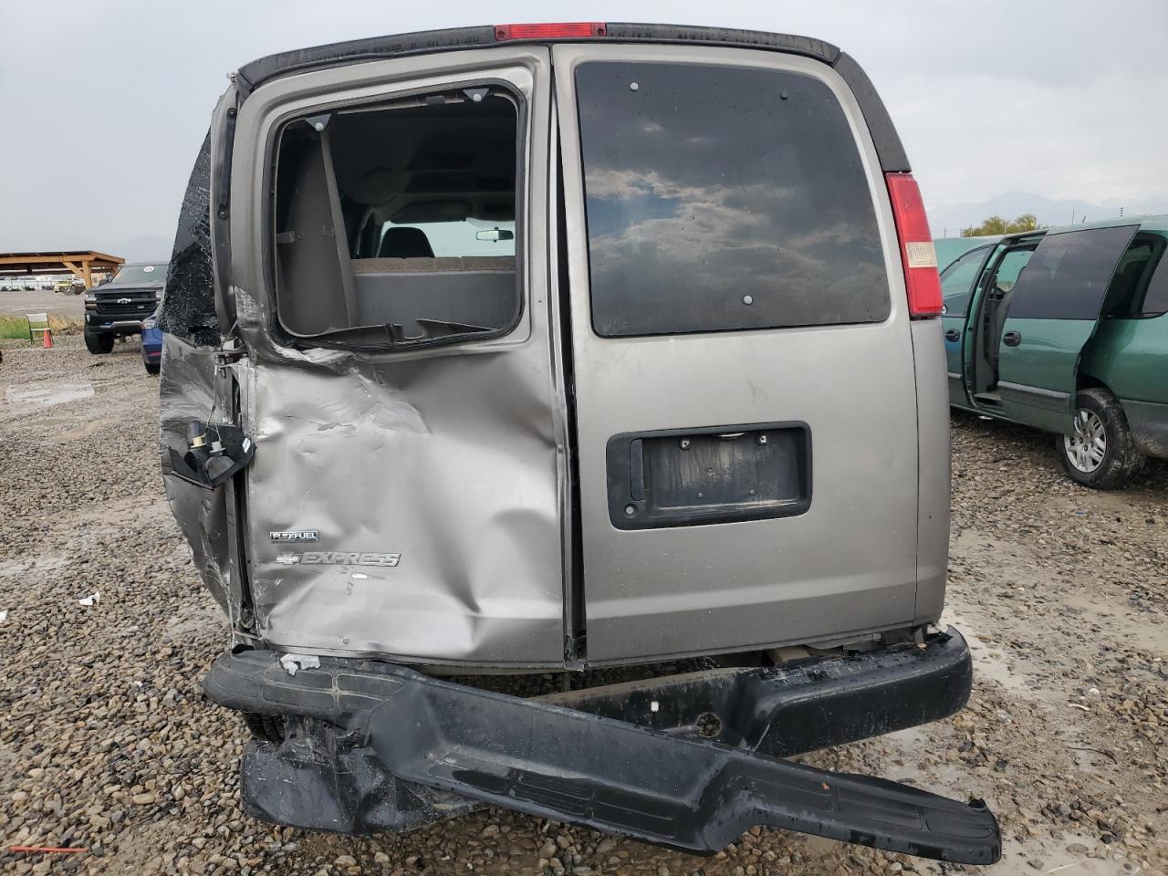 2009 Chevrolet Express G1500 VIN: 1GNFG154791159698 Lot: 70537735