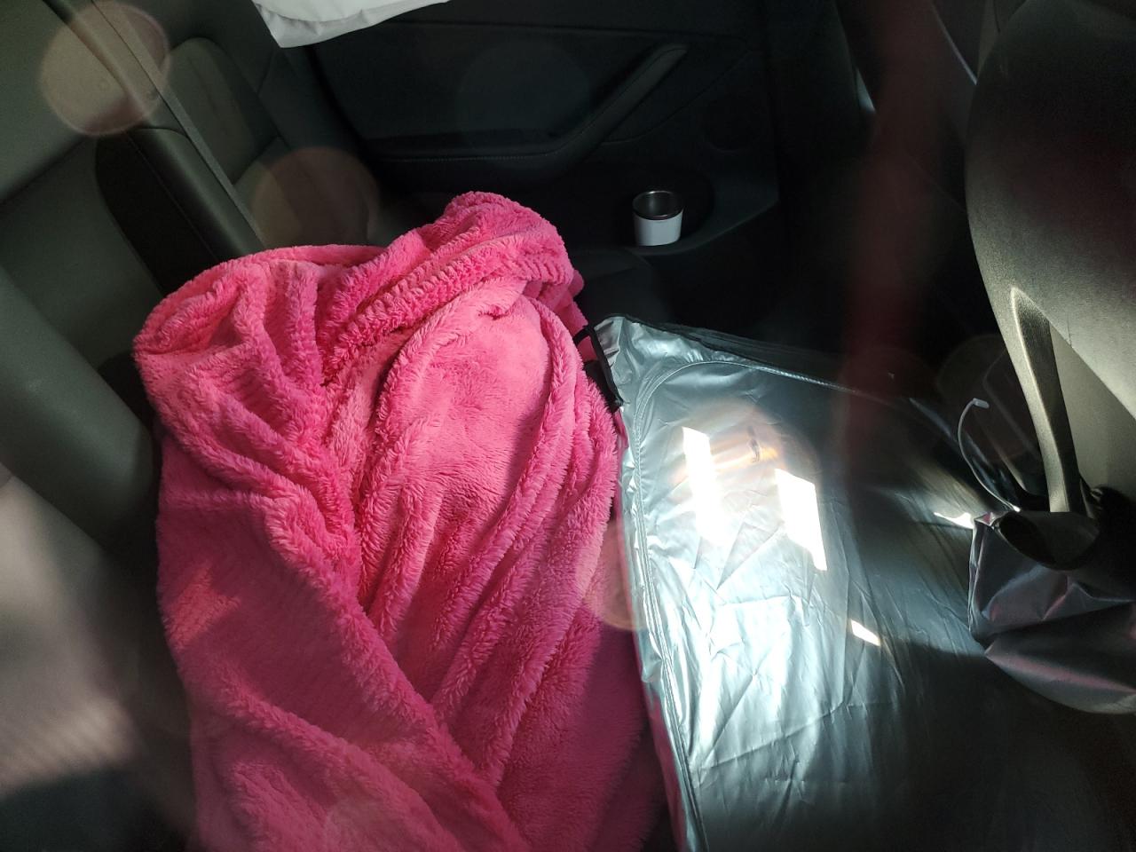 2021 Tesla Model Y VIN: 5YJYGDEE8MF115494 Lot: 67300765