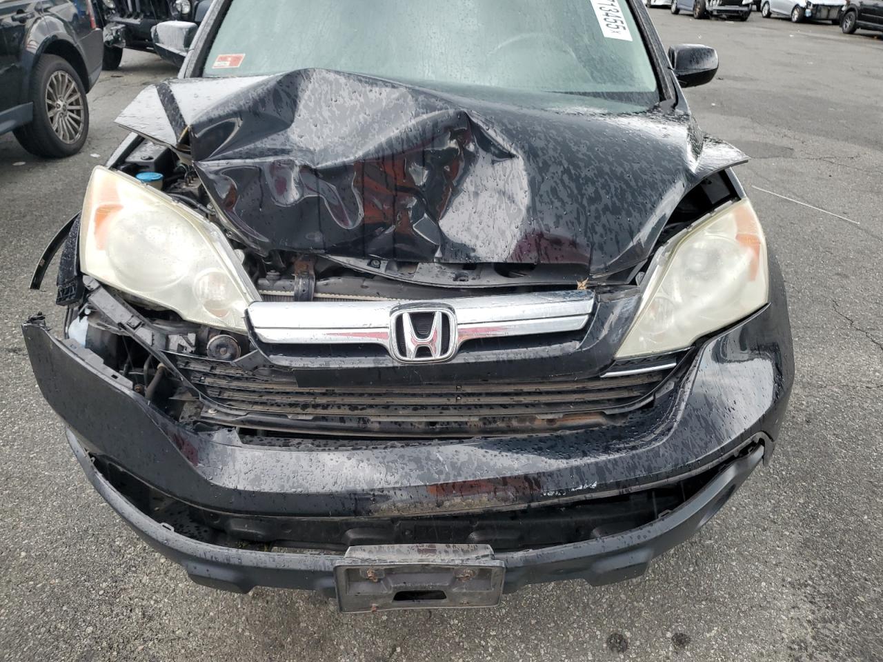 2009 Honda Cr-V Exl VIN: 5J6RE48789L055819 Lot: 70713455