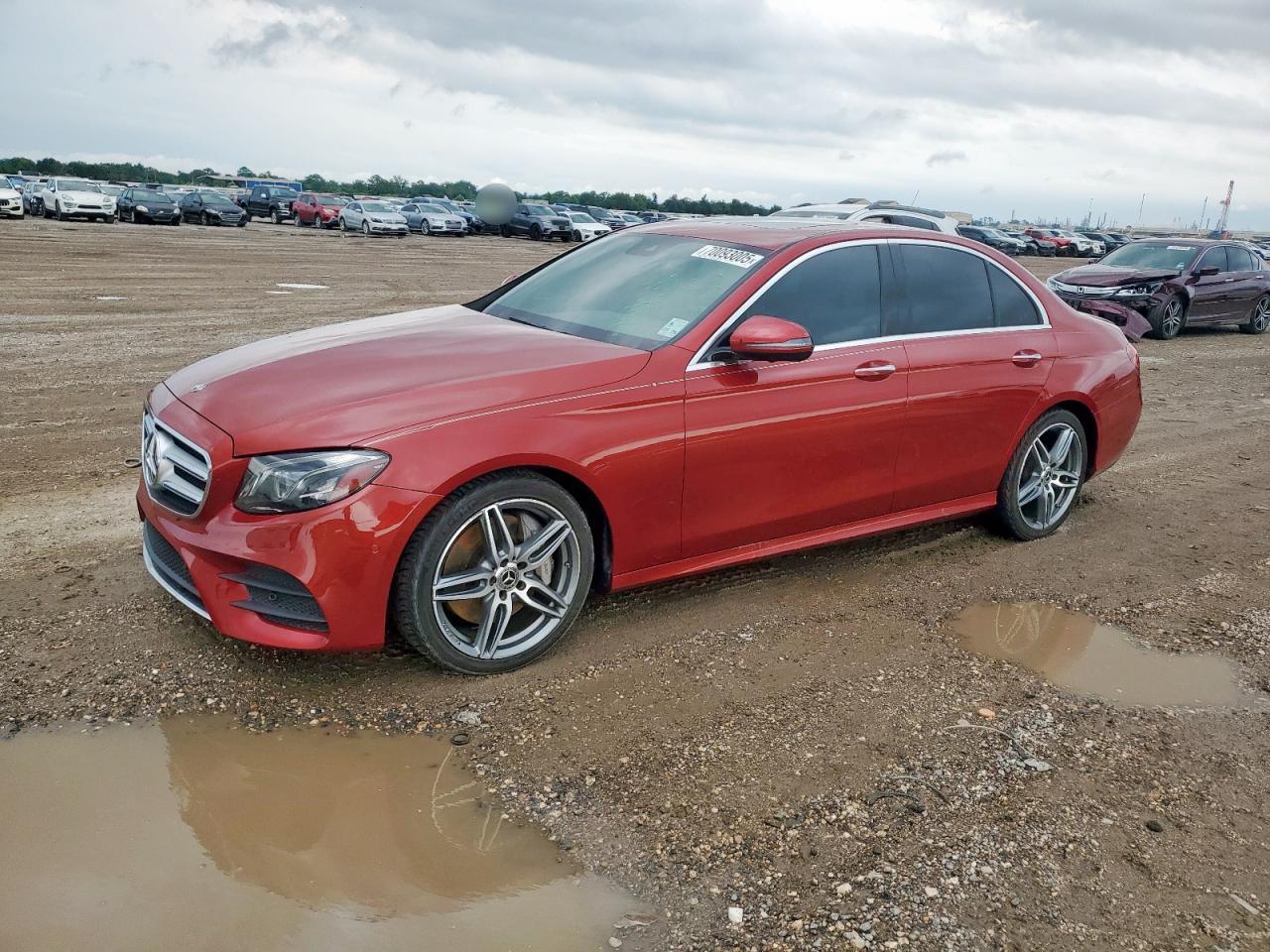 V (W213, S213, C238) V (W213, S213, C238)