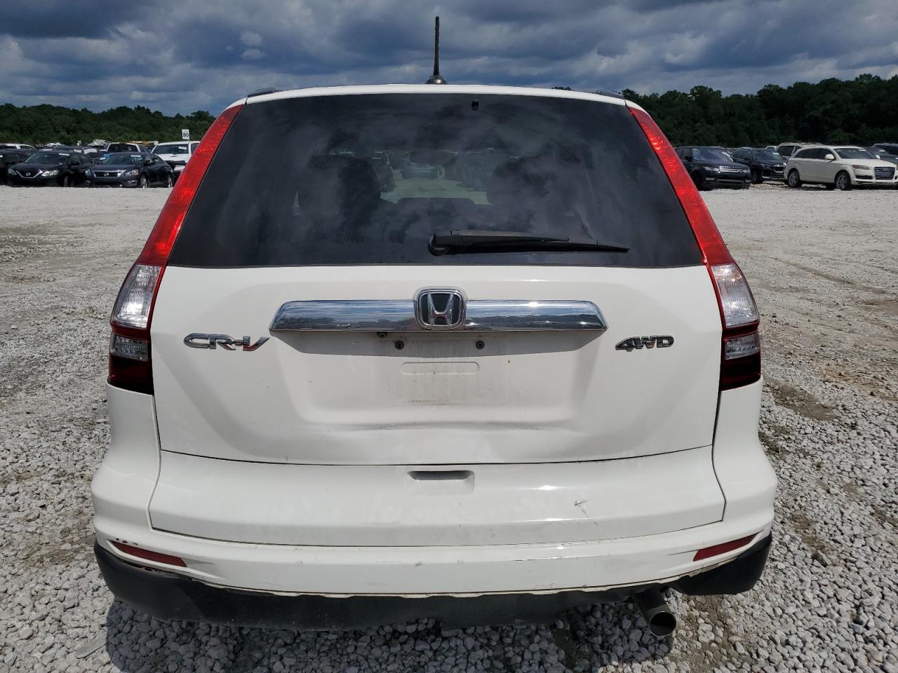 2010 Honda Cr-V Exl VIN: 5J6RE4H78AL026177 Lot: 67970575