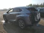 2020 LEXUS NX 300   for sale at Copart ON - TORONTO