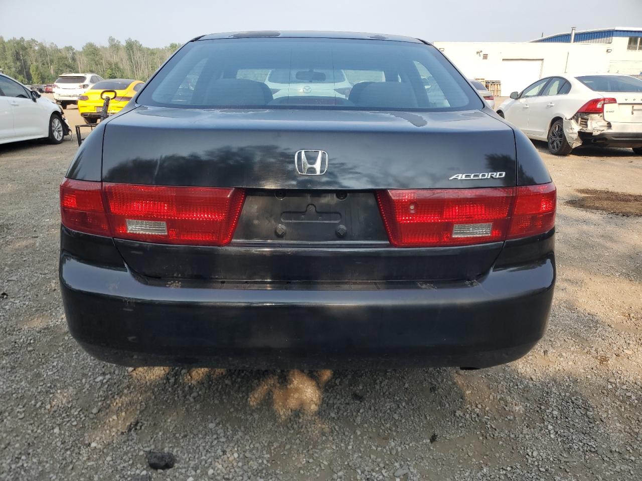 2005 Honda Accord Lx VIN: 1HGCM56465A805044 Lot: 67632665