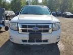 2010 FORD ESCAPE XLT   for sale at Copart ON - COOKSTOWN