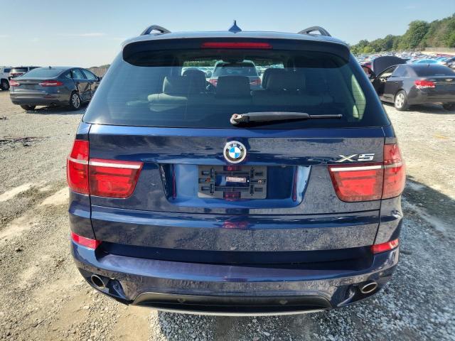 Parquets BMW X5 2013 Blue