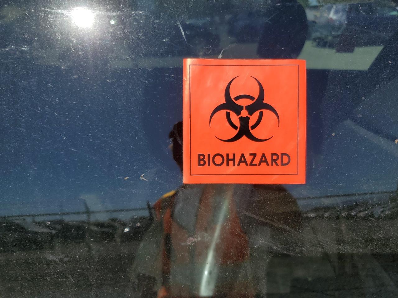 2010 Toyota Rav4 VIN: 2T3BF4DV5AW068683 Lot: 68227725