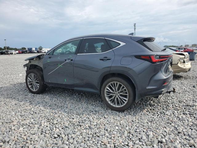  LEXUS NX 350H 2023 Серый