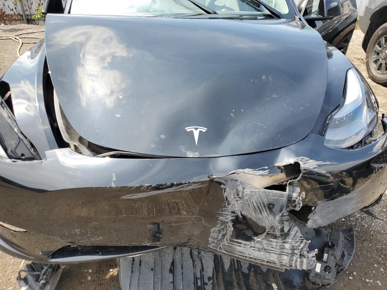 2024 Tesla Model Y VIN: 7SAYGDEE3RF994171 Lot: 67620355