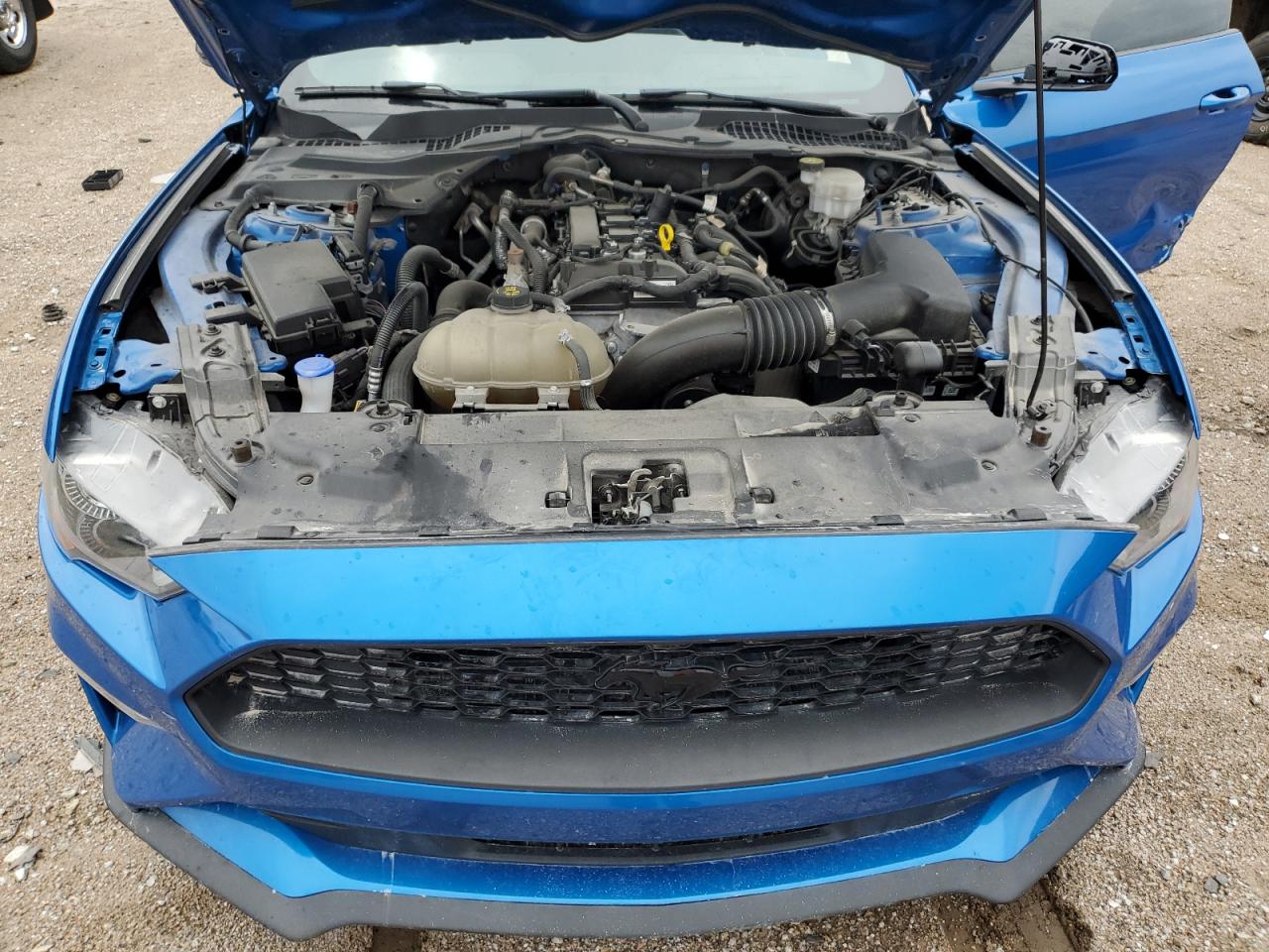 2021 Ford Mustang VIN: 1FA6P8THXM5128654 Lot: 66044175