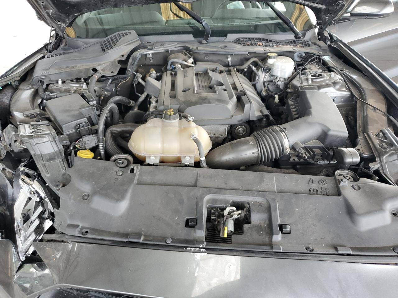 2019 Ford Mustang VIN: 1FA6P8TH4K5141171 Lot: 69741735