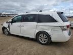 2014 HONDA ODYSSEY EXL for sale at Copart AB - EDMONTON