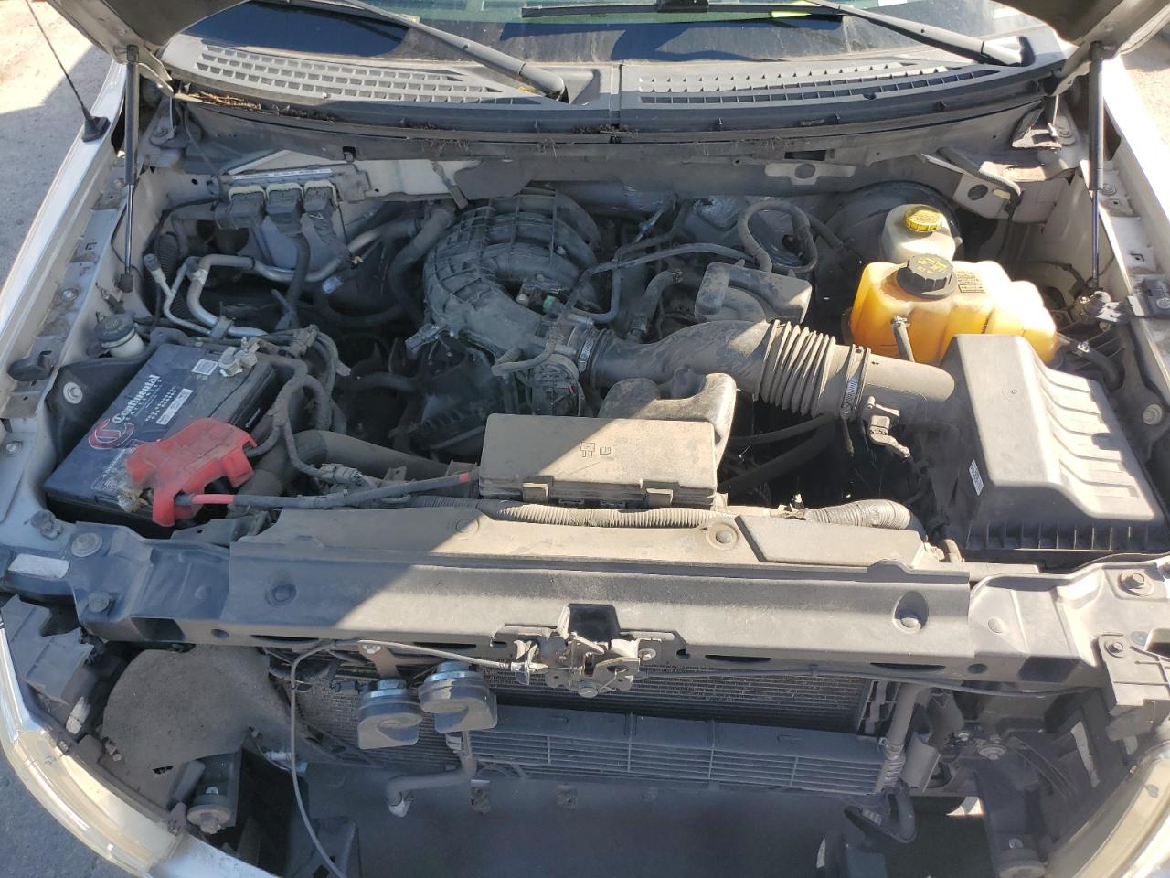 2014 Ford F150 Supercrew VIN: 1FTEW1CM4EFC84911 Lot: 68851455