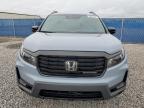 2024 HONDA PASSPORT BLACK EDITION   à vendre chez Copart AB - CALGARY