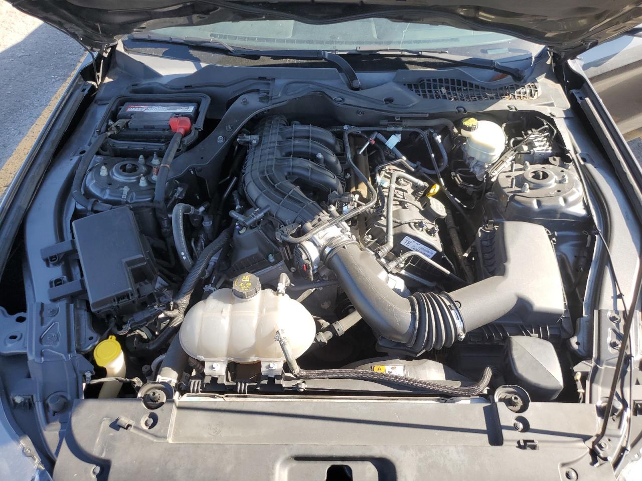 2015 Ford Mustang VIN: 1FA6P8AM7F5338762 Lot: 69261995