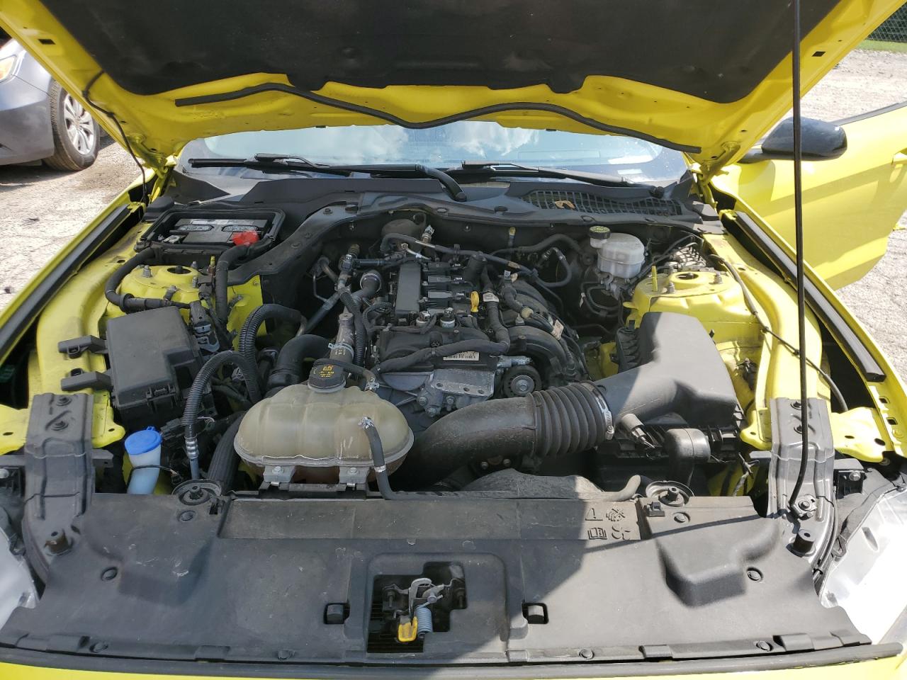 2021 Ford Mustang VIN: 1FA6P8TH1M5112617 Lot: 67088495