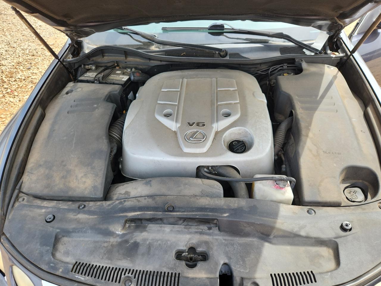 2006 Lexus Gs 300 VIN: JTHBH96S865024376 Lot: 70186495