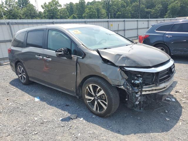  HONDA ODYSSEY 2022 Gray