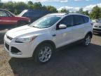 2016 FORD ESCAPE TITANIUM   à vendre chez Copart CT - HARTFORD SPRINGFIELD