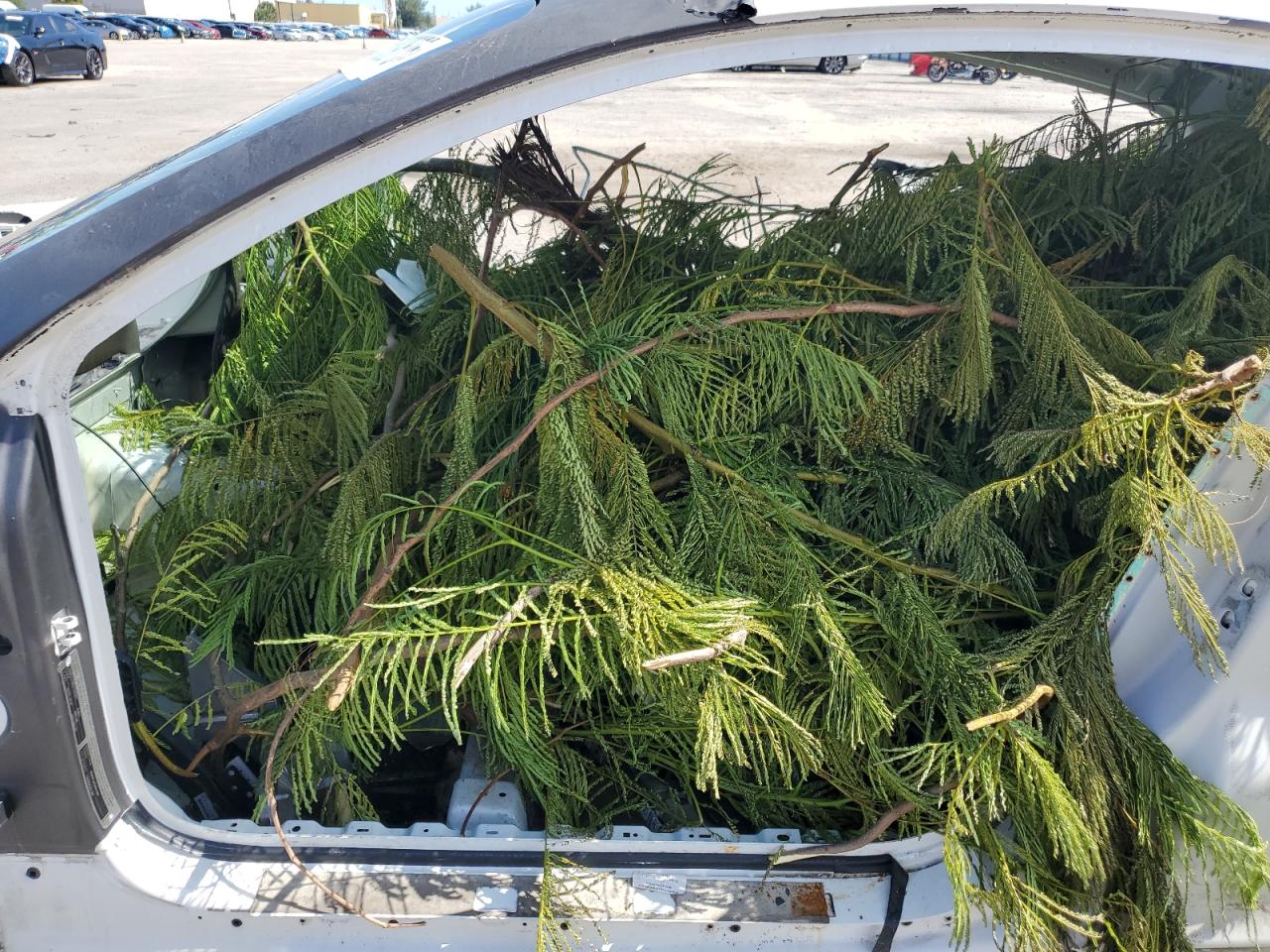 2012 Bentley Continental Gt VIN: SCBFR7ZA7CC071240 Lot: 68839675