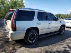 2009 CADILLAC ESCALADE LUXURY   à vendre chez Copart ON - COOKSTOWN