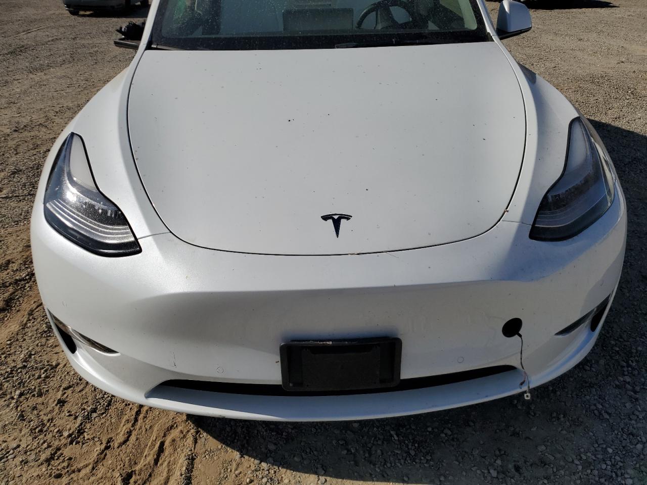 2022 Tesla Model Y VIN: 7SAYGDEE8NF485932 Lot: 65284695