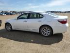 2009 LEXUS LS 460   for sale at Copart AB - EDMONTON