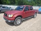 2004 TOYOTA TACOMA DOUBLE CAB PRERUNNER   for sale at Copart FL - TALLAHASSEE