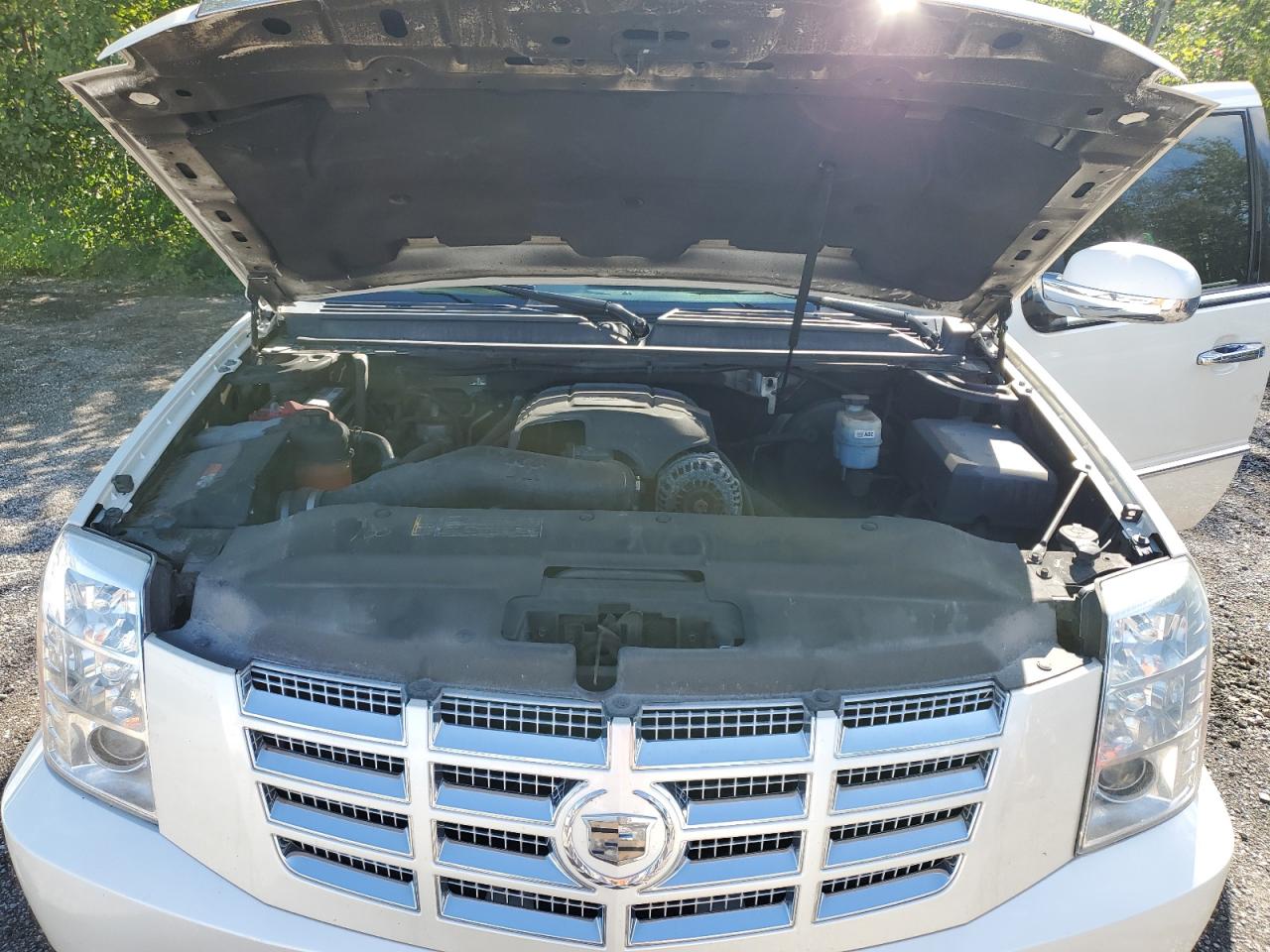 2009 Cadillac Escalade Luxury VIN: 1GYFK23269R251797 Lot: 69872775