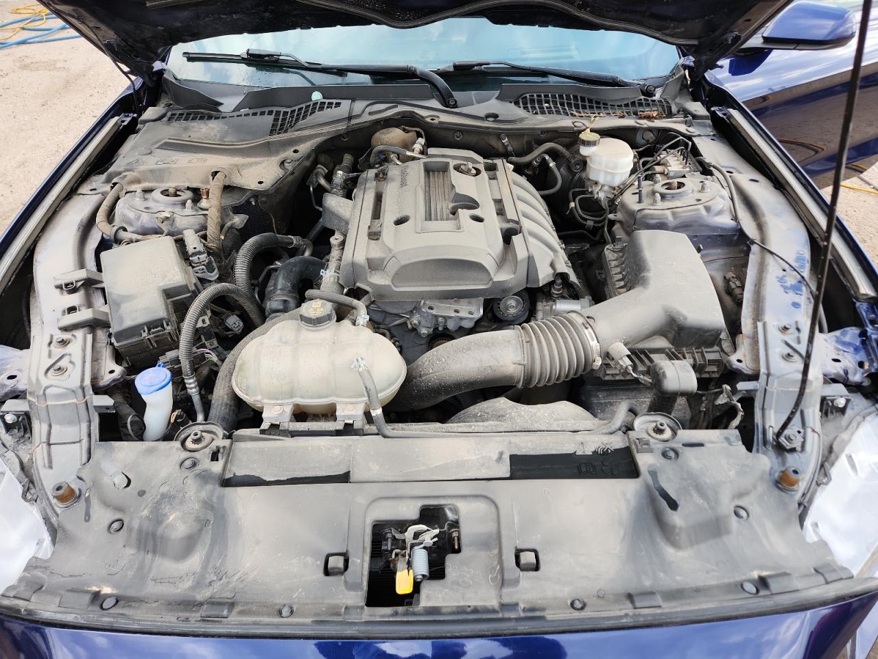 2020 Ford Mustang VIN: 1FA6P8TH8L5191007 Lot: 69992155