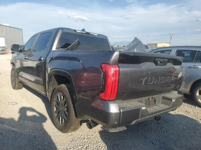  TOYOTA TUNDRA 2025 Серый