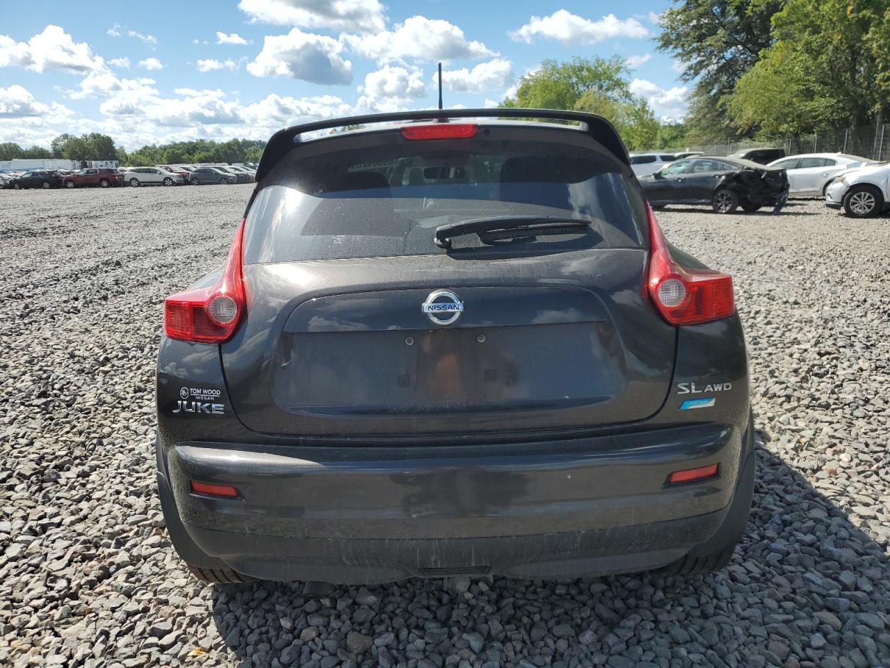2013 Nissan Juke S VIN: JN8AF5MV2DT208959 Lot: 69969265