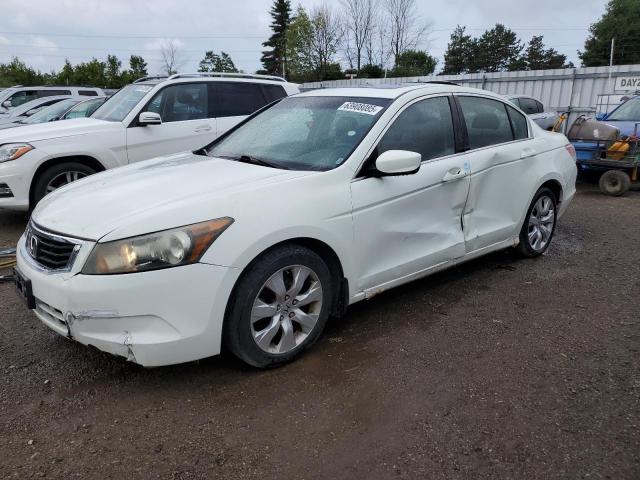 2010 HONDA ACCORD EXL   for sale at Copart ON - TORONTO