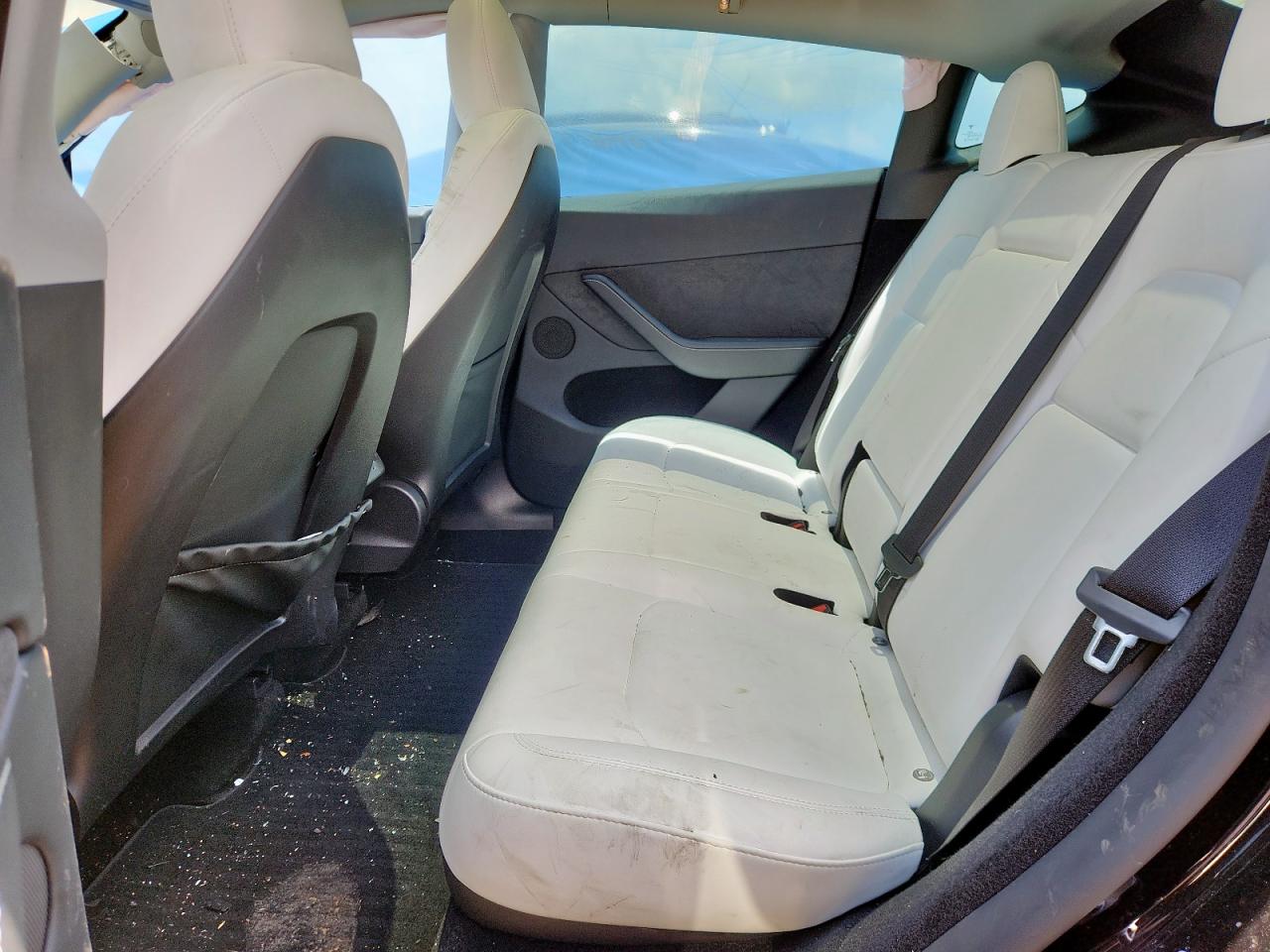 2023 Tesla Model Y VIN: 7SAYGDEE6PA162303 Lot: 71891595