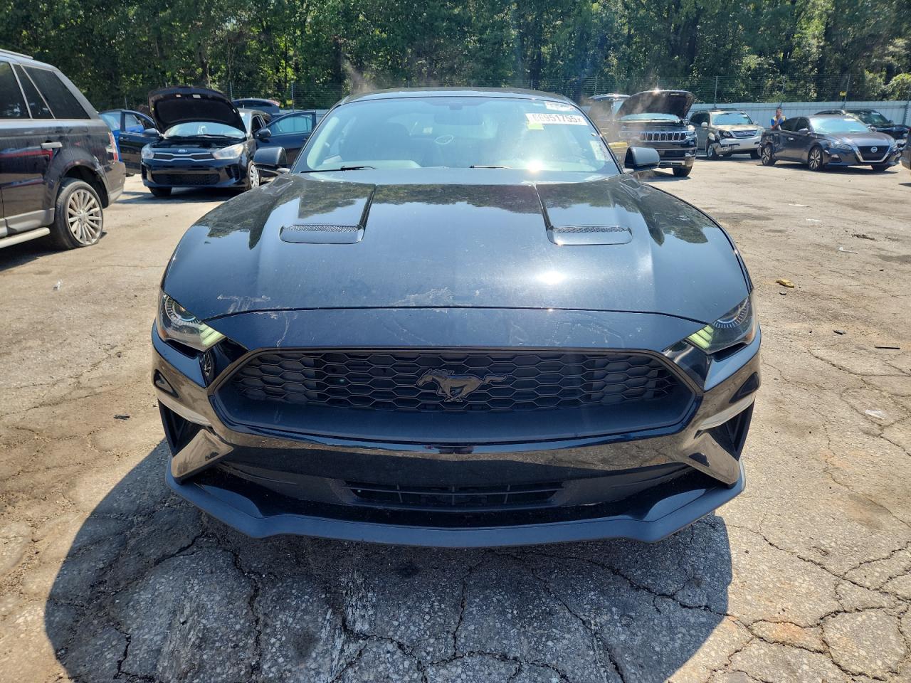 2019 Ford Mustang VIN: 1FA6P8TH9K5184663 Lot: 66951755