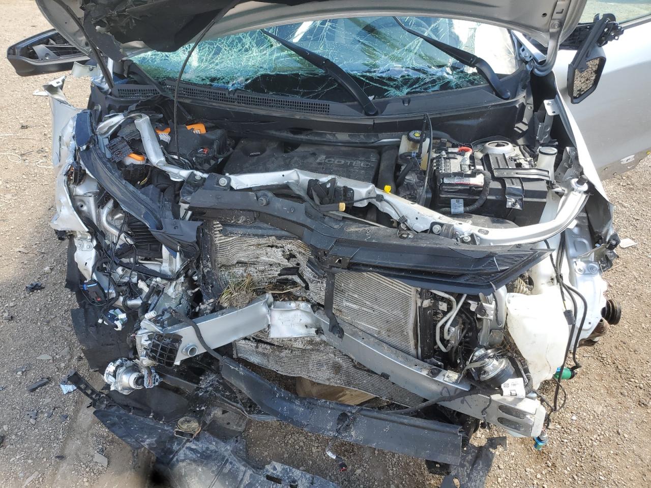 2019 Chevrolet Equinox Ls VIN: 3GNAXHEV8KS556627 Lot: 69950155