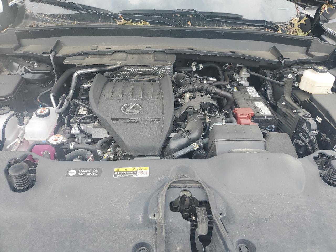 2024 Lexus Tx 350 Base VIN: 5TDAAAB66RS010454 Lot: 68195265