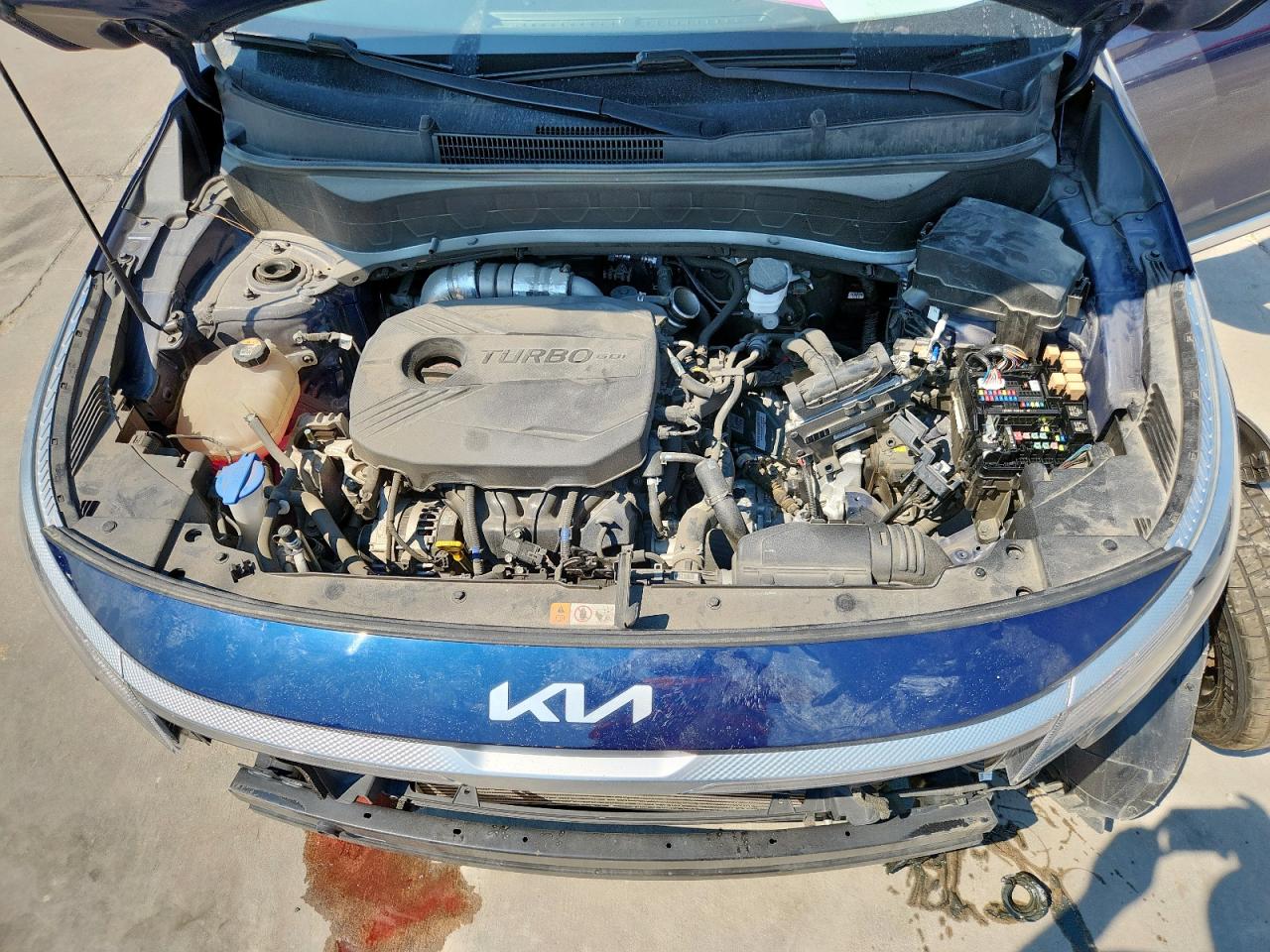 2022 Kia Seltos Nightfall VIN: KNDEUCA27N7303819 Lot: 70153175