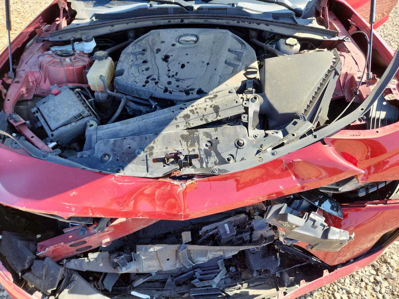 2019 Chevrolet Camaro Ls VIN: 1G1FB1RS7K0117603 Lot: 71805815