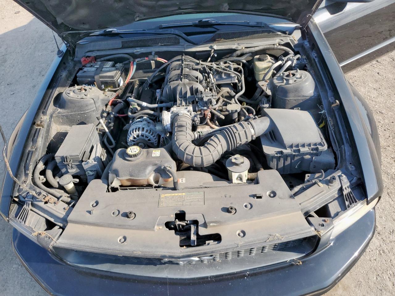 2006 Ford Mustang VIN: 1ZVFT80N165218081 Lot: 70607395