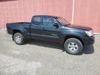 2009 TOYOTA TACOMA ACCESS CAB   for sale at Copart ON - LONDON