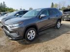 2023 TOYOTA RAV4 LE   for sale at Copart ON - TORONTO