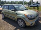 2013 KIA SOUL à vendre chez Copart CT - HARTFORD SPRINGFIELD